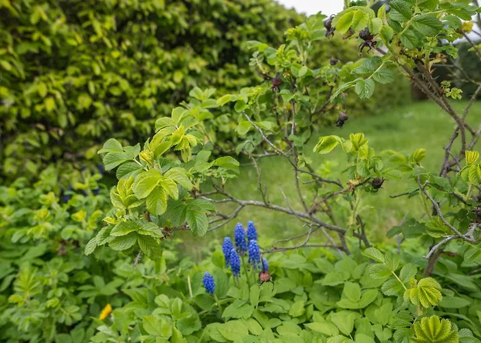 Strandnaehe アパート *